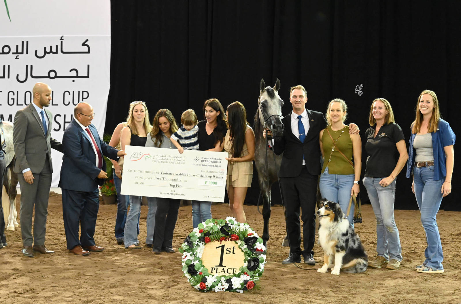 Gold Champion Junior Colt: Aria Balero 