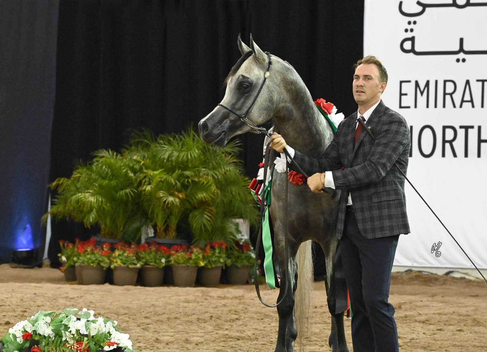 Gold Champion Junior Colt: Aria Balero 