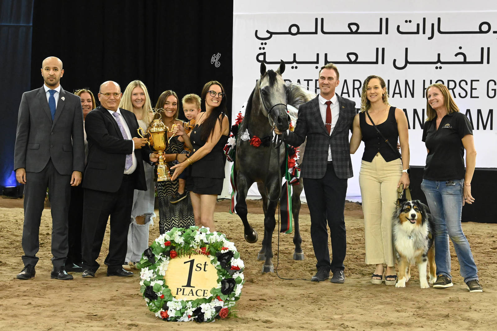 Gold Champion Junior Colt: Aria Balero 
