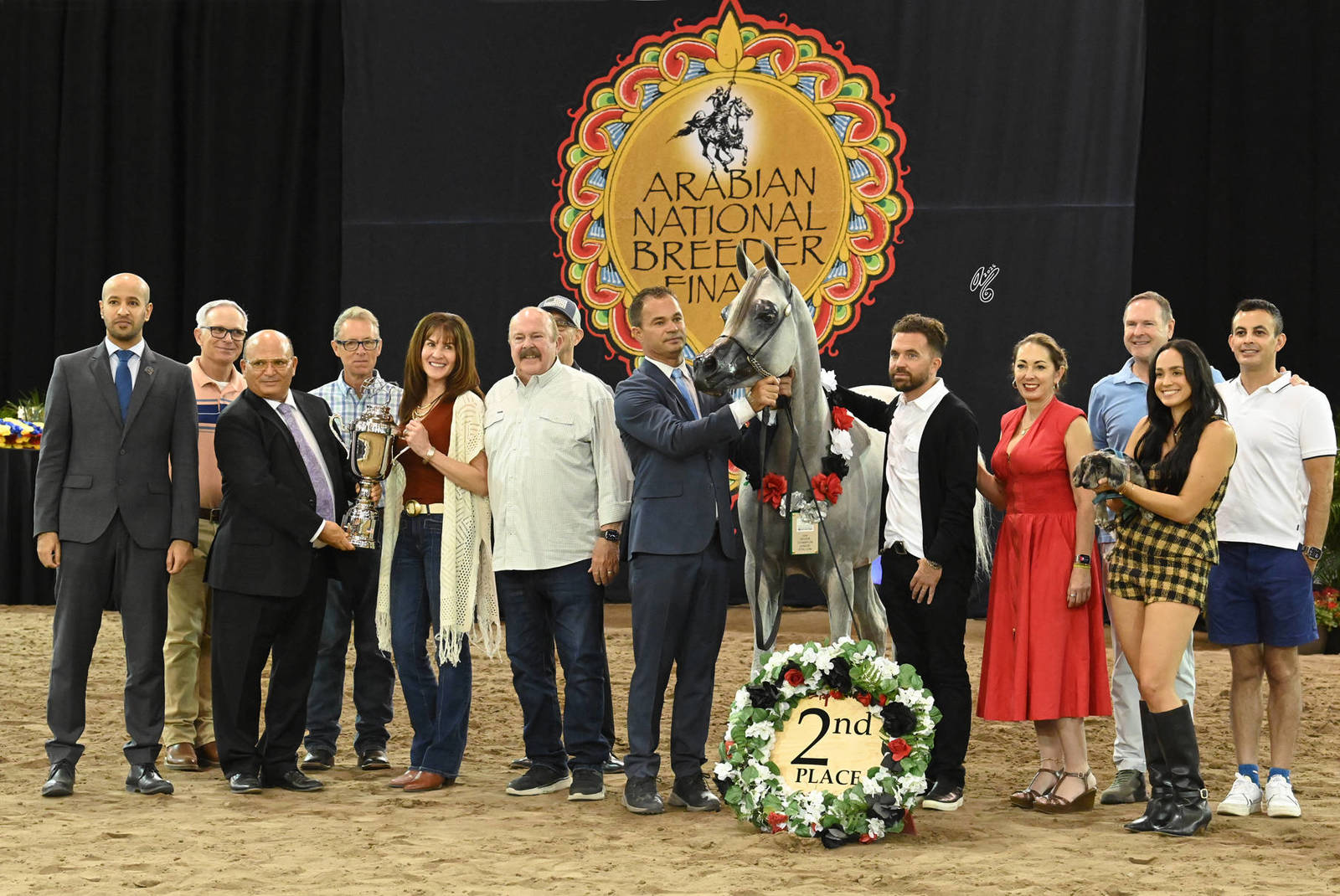 Silver Champion Junior Colt: Andreas VO