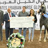 Bronze Champion Junior Colt: BMA Maximus 