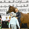 Gold Champion Junior Filly: Al Noor Miralena
