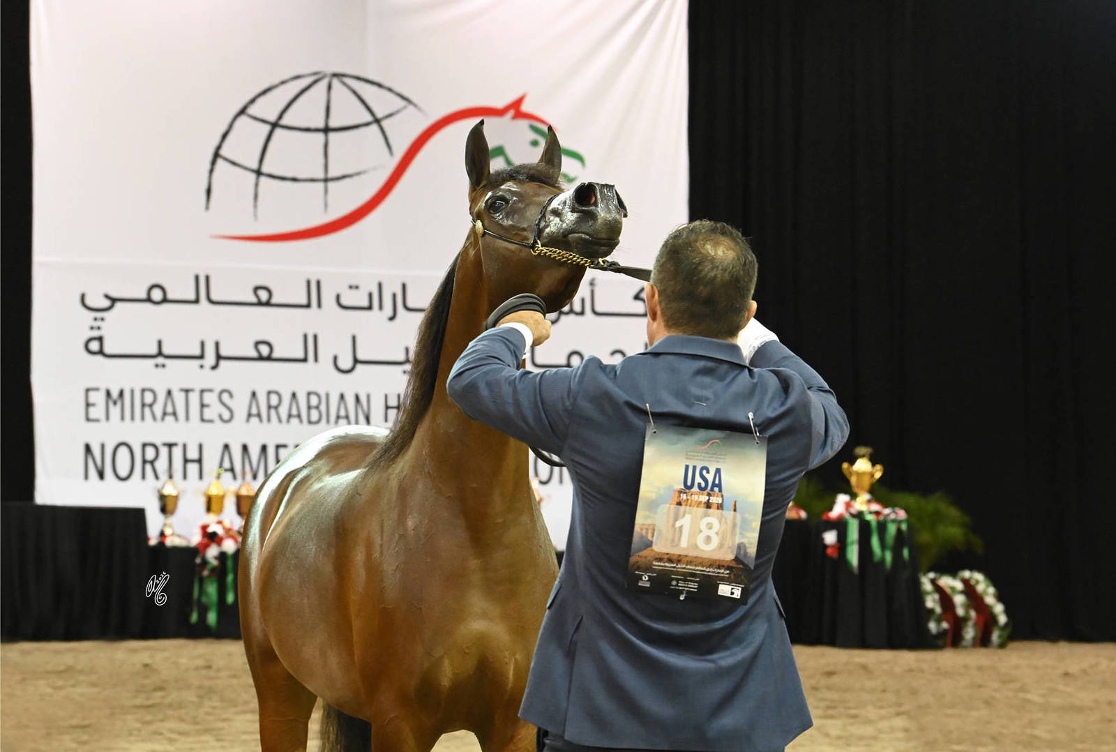Silver Champion Junior Filly: Rittal ZYZ 