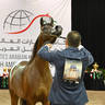 Silver Champion Junior Filly: Rittal ZYZ 