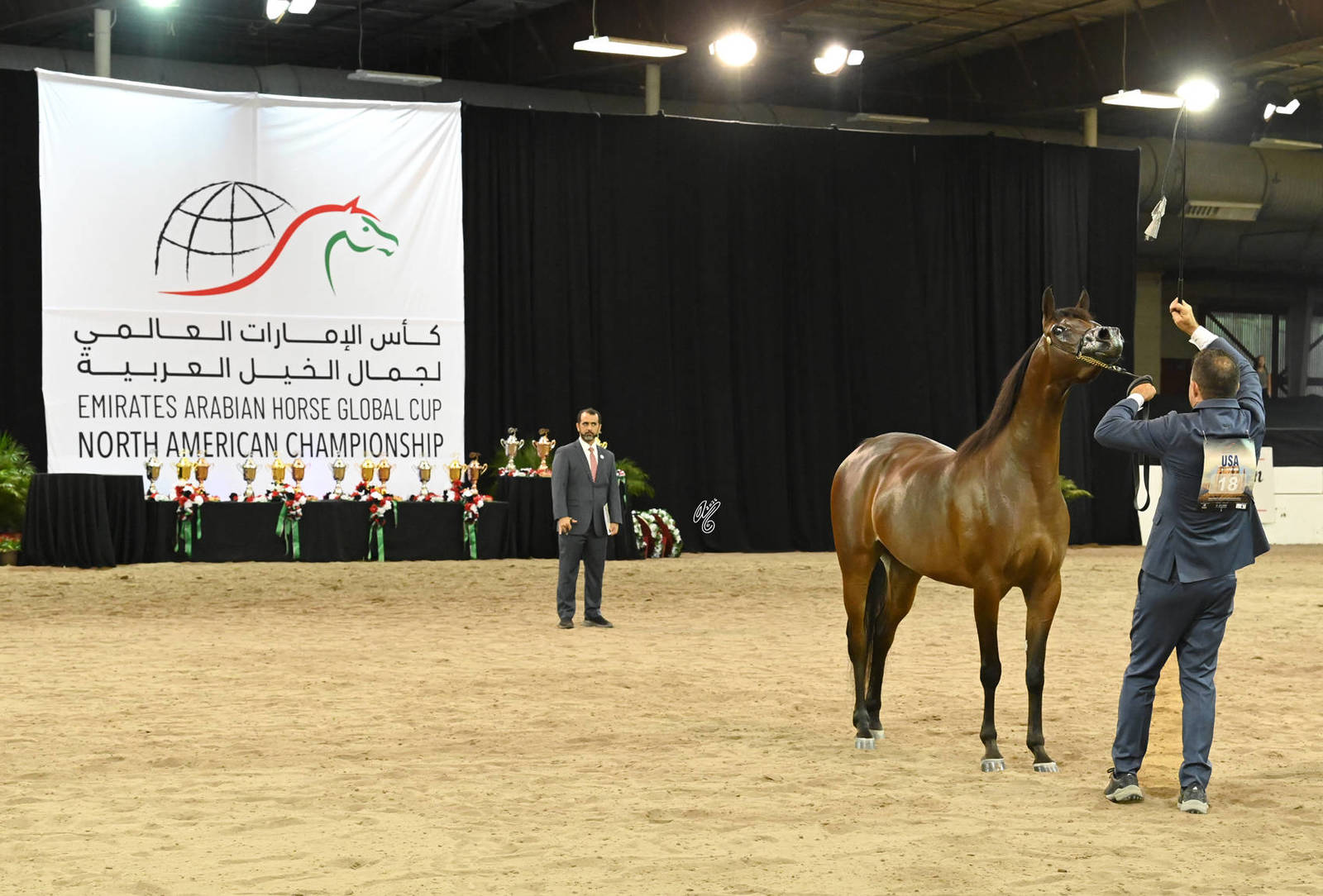Silver Champion Junior Filly: Rittal ZYZ 