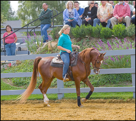 Suncatcher SMF - by BB Thee Renegade x Shaia+