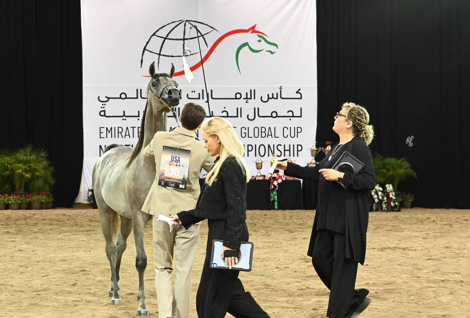 Yearling Colt Silver Champion: Rafa M 