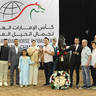 Yearling Colt Bronze Champion: SOL Saga Jawad Layl 