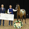 Yearling Filly Gold Champion:  Wingates My Eliza 