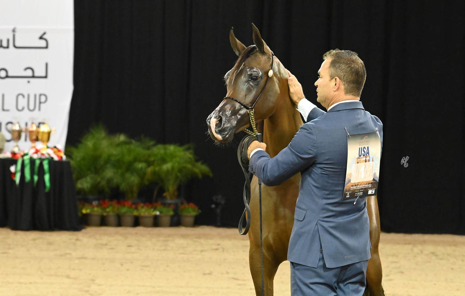 Yearling Filly Gold Champion:  Wingates My Eliza 