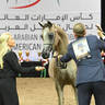 Yearling Filly Silver Champion:  Amourette LRA 