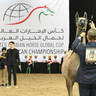 Yearling Filly Silver Champion:  Amourette LRA 
