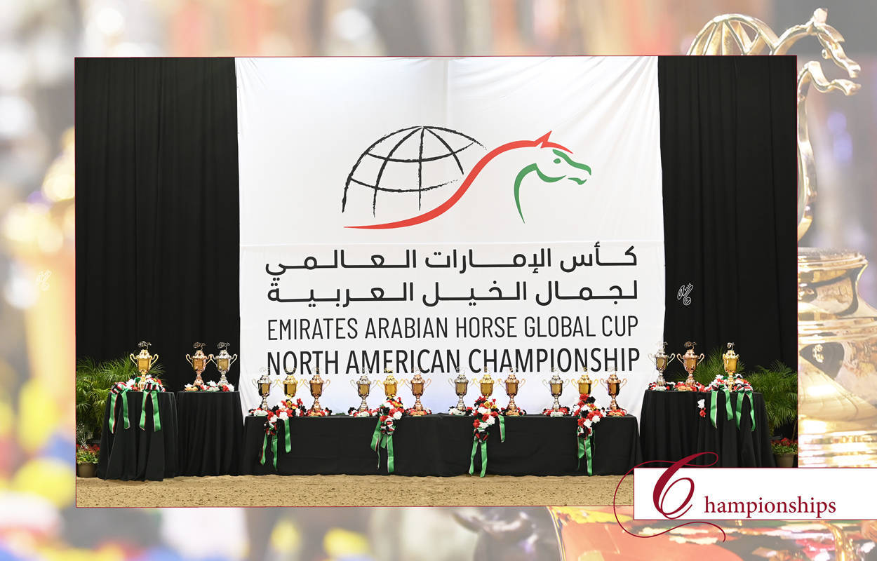 Lisa Abraham: The Emirates Arabian Horse Global Cup: USA PHOTO GALLERY!