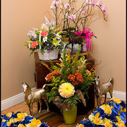 Flowers from friends and SMF trophys