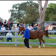 Shaia+  - With Bruce Clark