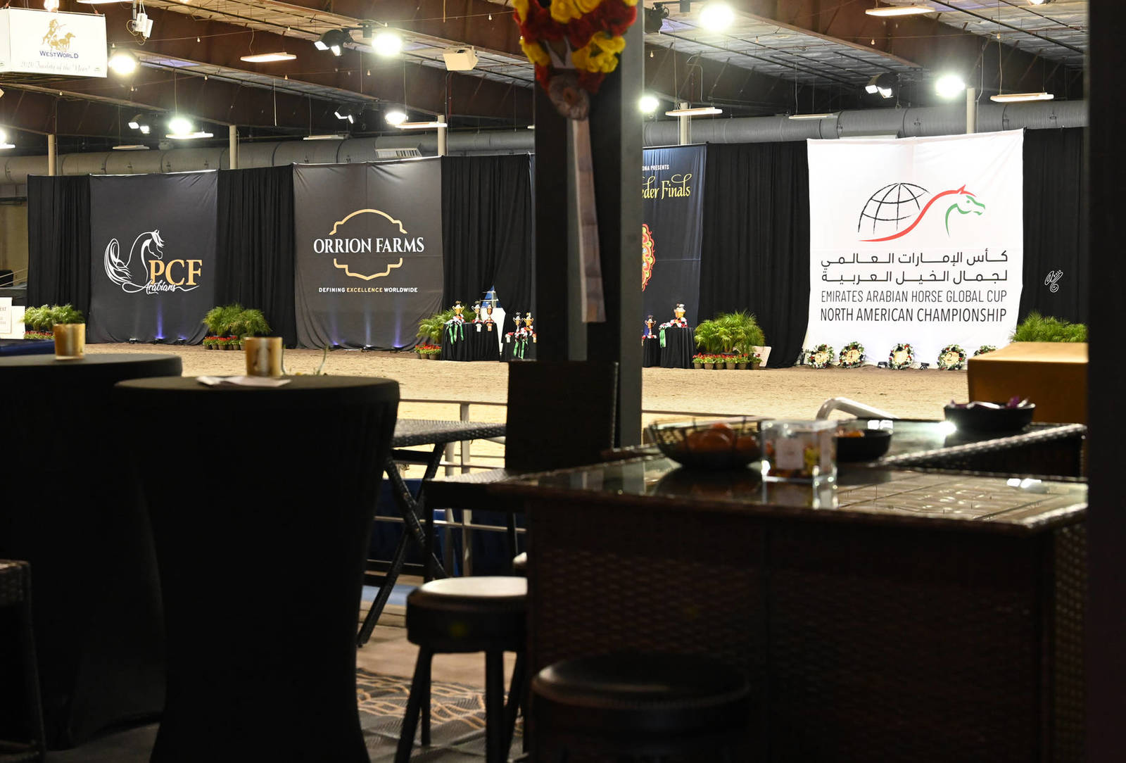 Lisa Abraham: The Emirates Arabian Horse Global Cup: USA PHOTO GALLERY!