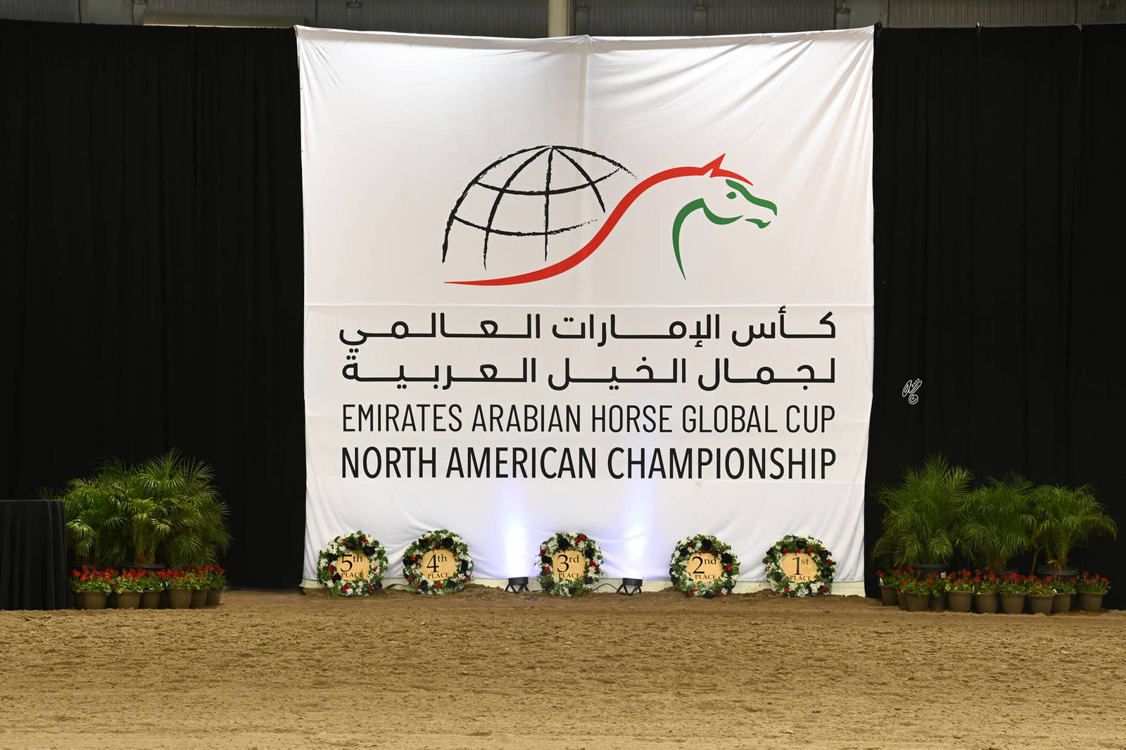 Lisa Abraham: The Emirates Arabian Horse Global Cup: USA PHOTO GALLERY!