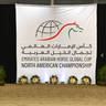 Lisa Abraham: The Emirates Arabian Horse Global Cup: USA PHOTO GALLERY!