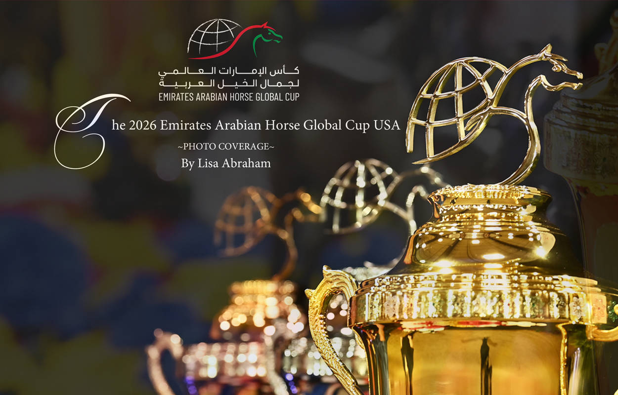 Lisa Abraham: The Emirates Arabian Horse Global Cup: USA PHOTO GALLERY!