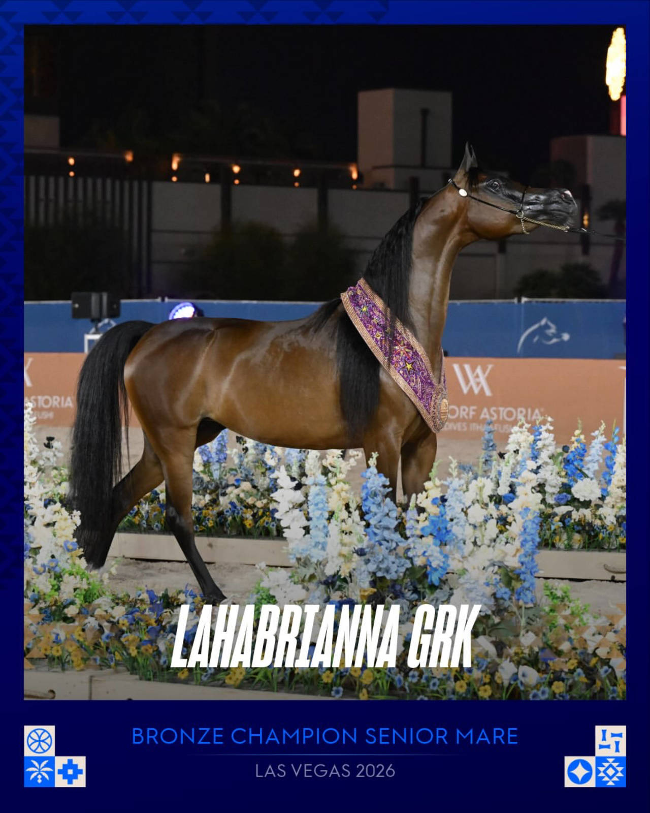 GCAT Closes 2026 Americas Season in Vegas! 