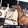 Photo Gallery GCAT Vegas 2026