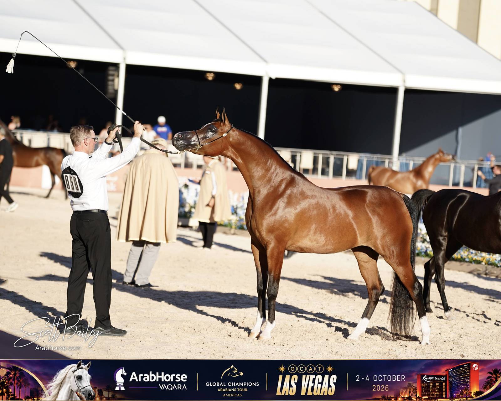 Photo Gallery GCAT Vegas 2026