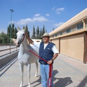 DSC_4386 (Large).JPG - Photographer Ayman Hammad of Core Graphics  At AlKhair & Jedaan Stables 