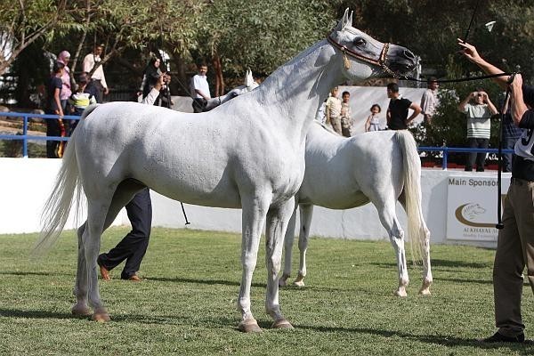 Saida Bint Shahlia - Champion Senior Female