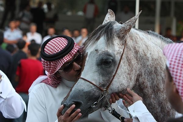 Savio - Champion Senior Male