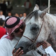 Savio - Champion Senior Male