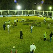 DSC_9178_ADJ_AH_CG (Medium).jpg