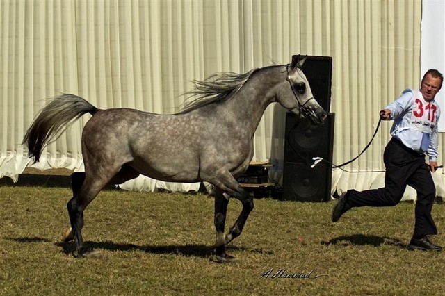 DSC_0272 - adj (Medium).jpg - General Photo