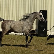 DSC_0272 - adj (Medium).jpg - General Photo