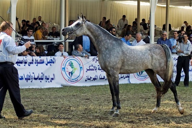 DSC_0279 - adj (Medium).jpg - General Photo