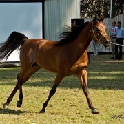 DSC_0191 - adj (Medium).jpg - General Photo