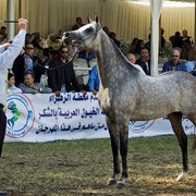 DSC_0276 - adj (Medium).jpg - General Photo