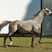 DSC_0274 - adj (Medium).jpg - General Photo