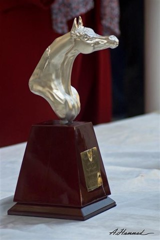 DSC_0598 - adj (Medium).jpg