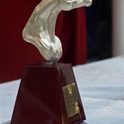 DSC_0598 - adj (Medium).jpg