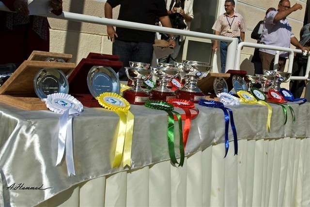 DSC_0155 - adj (Medium).jpg - General Photo