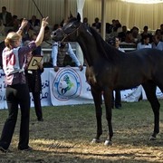 DSC_0241 - adj (Medium).jpg - General Photo