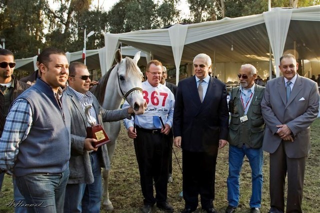 DSC_0618 - adj (Medium).jpg