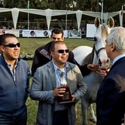 DSC_0611 - adj (Medium).jpg - Most Classical Head, Females 
Name:  IMPERIAL BAALANAH
( IMPERIAL BAAREZ  X IMPERIAL ORRAPHA )       
Breeder:  U.S.A 
Owner:  Al Farida Stud - Egypt