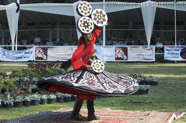 DSC_9008_ADJ_AH_CG (Medium).jpg