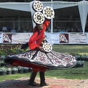 DSC_9008_ADJ_AH_CG (Medium).jpg