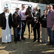 DSC_0171 - adj - crop 295 (Medium).jpg - Junior Colts Reserve Champion 
Name:  JAREER AL KHALEDIAH
( PADRONS IMMAGE X  BARAH AL KHALEDIAH )               
Breeder: Al Khalediah Farm K.S.A.
Owner: Al Khalediah Farm K.S.A.
