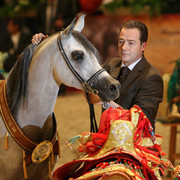 Baanderos - World Champion Jr. Colt Baanderos owned by HRH Prince Khalid bin Sultan bin Abdul Aziz Al Saud