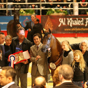 Reserve Jr. Filly - Reserve Jr Champion Filly, Princess of Marwan, owned by Mystica Arabians