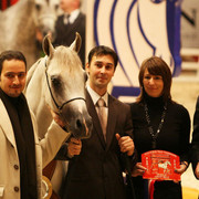 Shannan El Madan - Bronze winner in Jr. Colt and owned by Al Mohamadia Stables