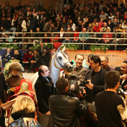  Baanderos - World Champion Jr. Colt Baanderos owned by HRH Prince Khalid bin Sultan bin Abdul Aziz Al Saud